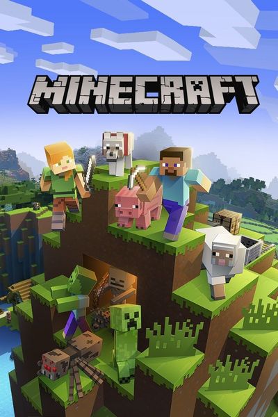 Minecraft server hosting