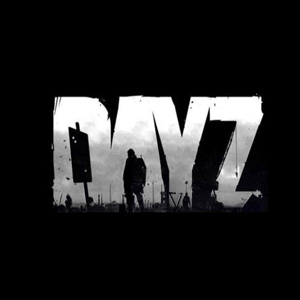 DayZ knowledge base